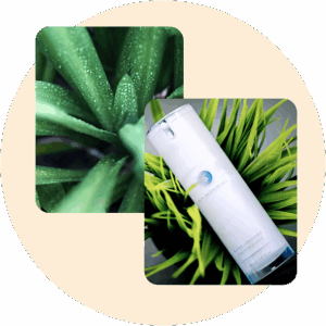 Skin Medicinals Tretinoin cream tube